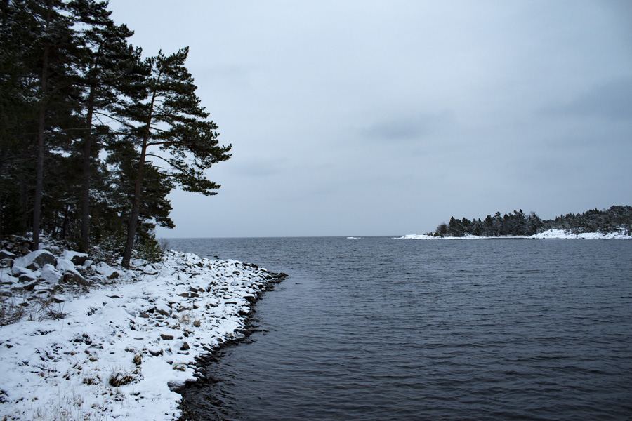 landscape_sweden_vangardist